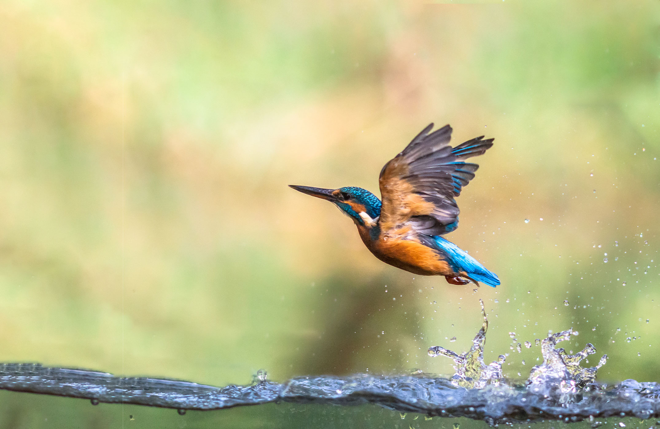 Klimaneutrale Produktion